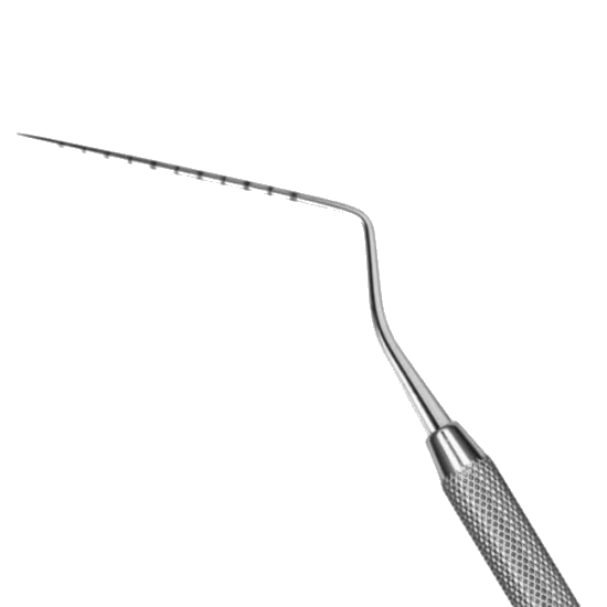 #3 AR Explorer - Image 2