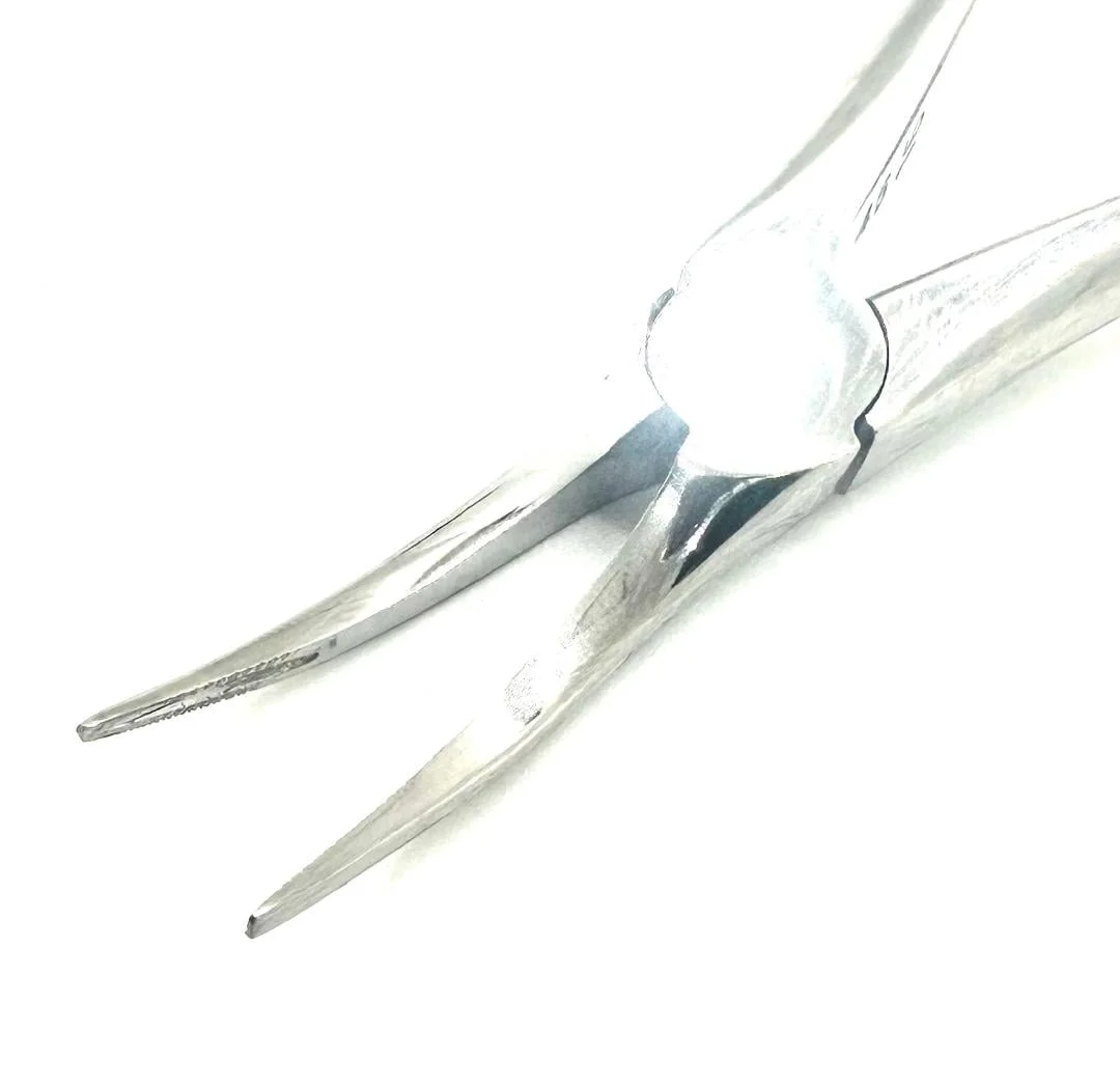 #300 Root Extraction Forceps, Serrated