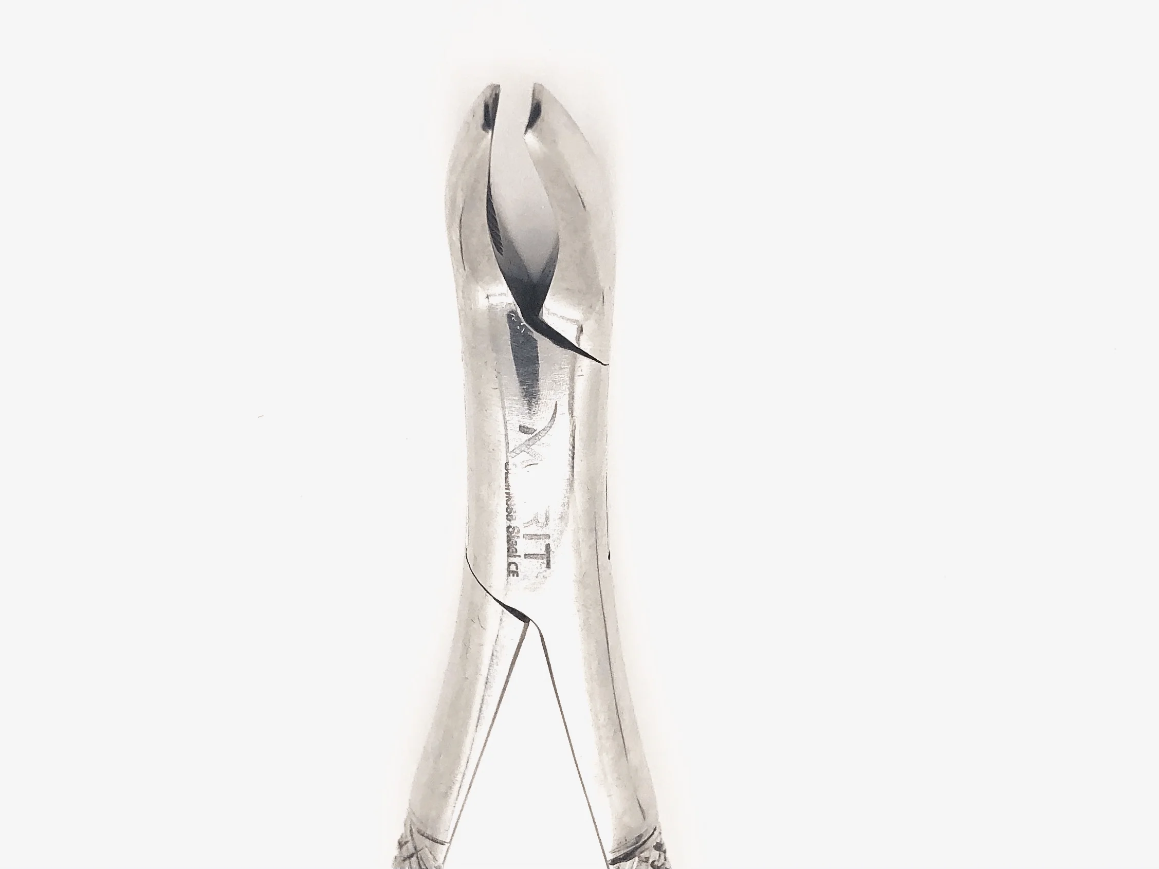 Extracting #24 Forceps Mirror Polish Finish - Image 2
