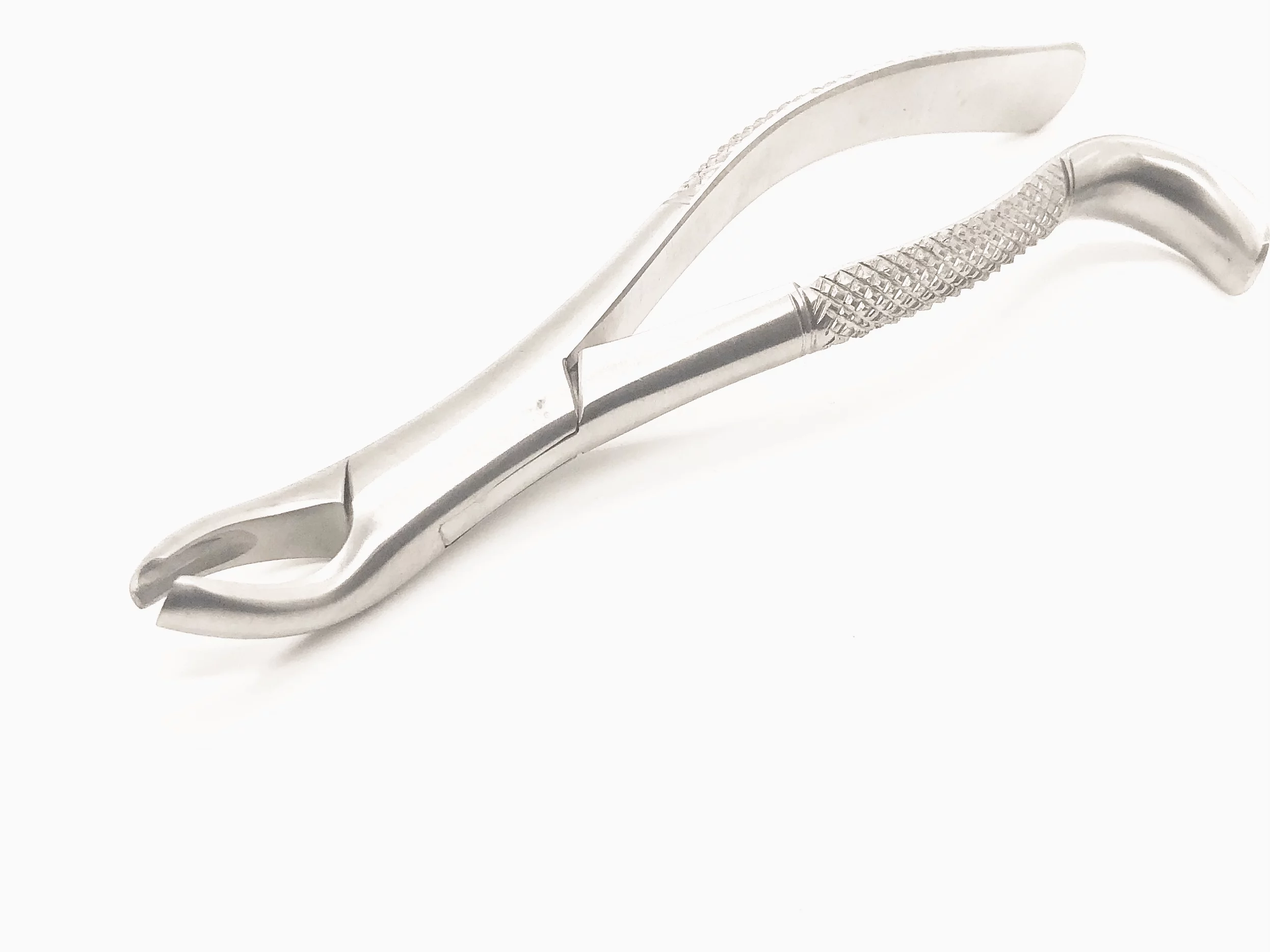 Extracting Forceps #18L Mirror Polish Finish