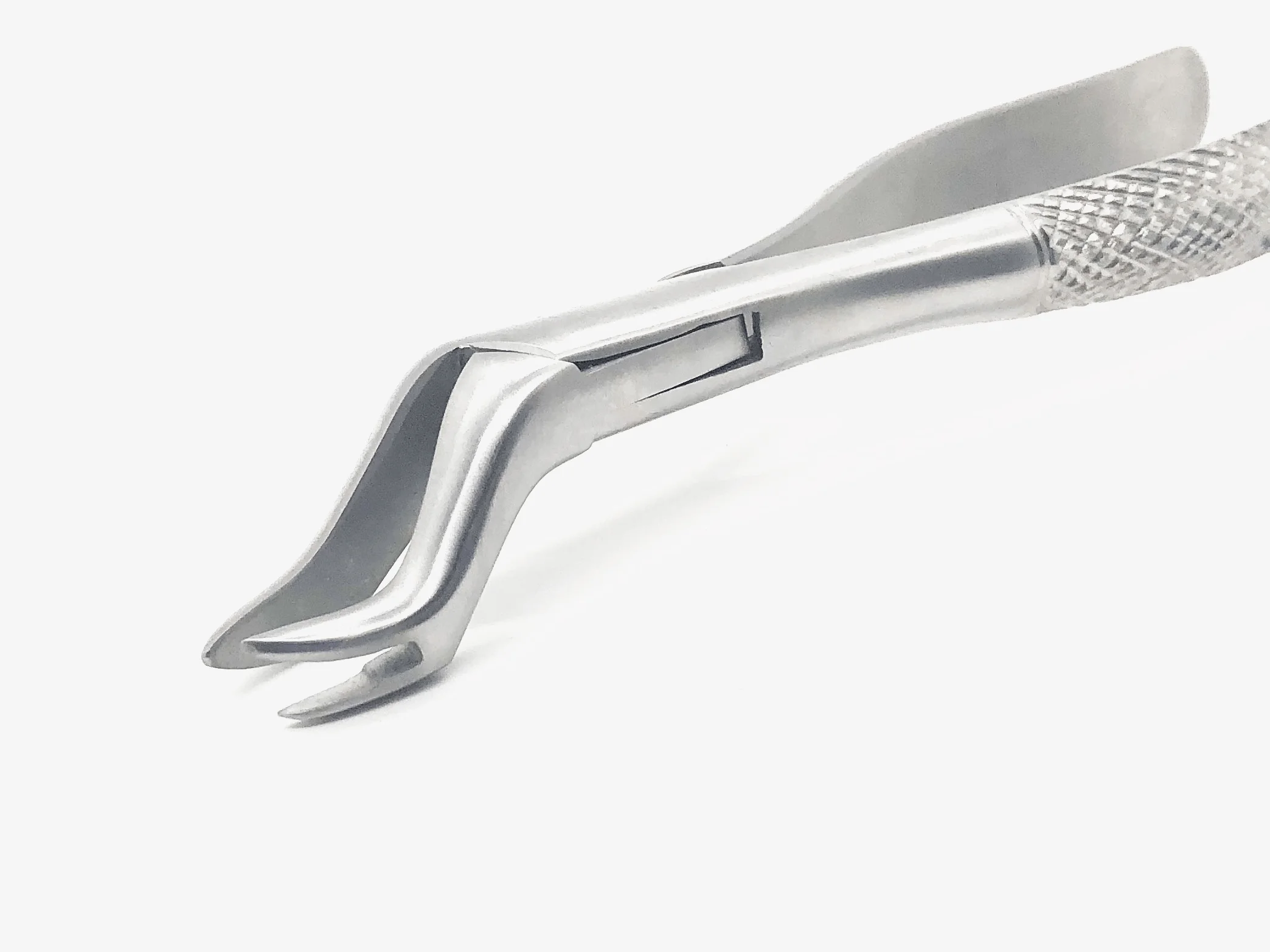 Extracting Forceps #88L Dull Matte Finish - Image 2