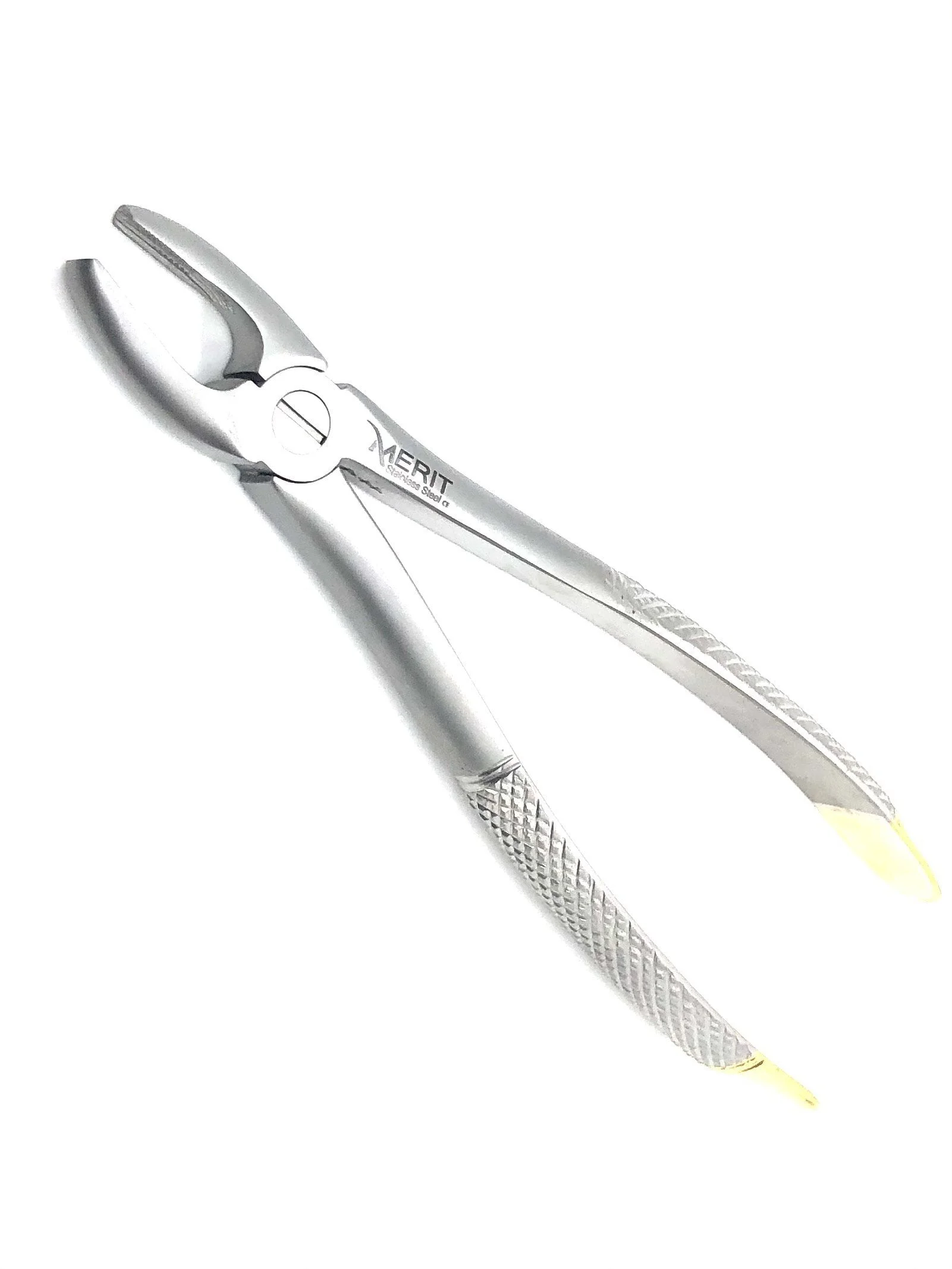 Extraction Forcep #1 English Pattern Gold