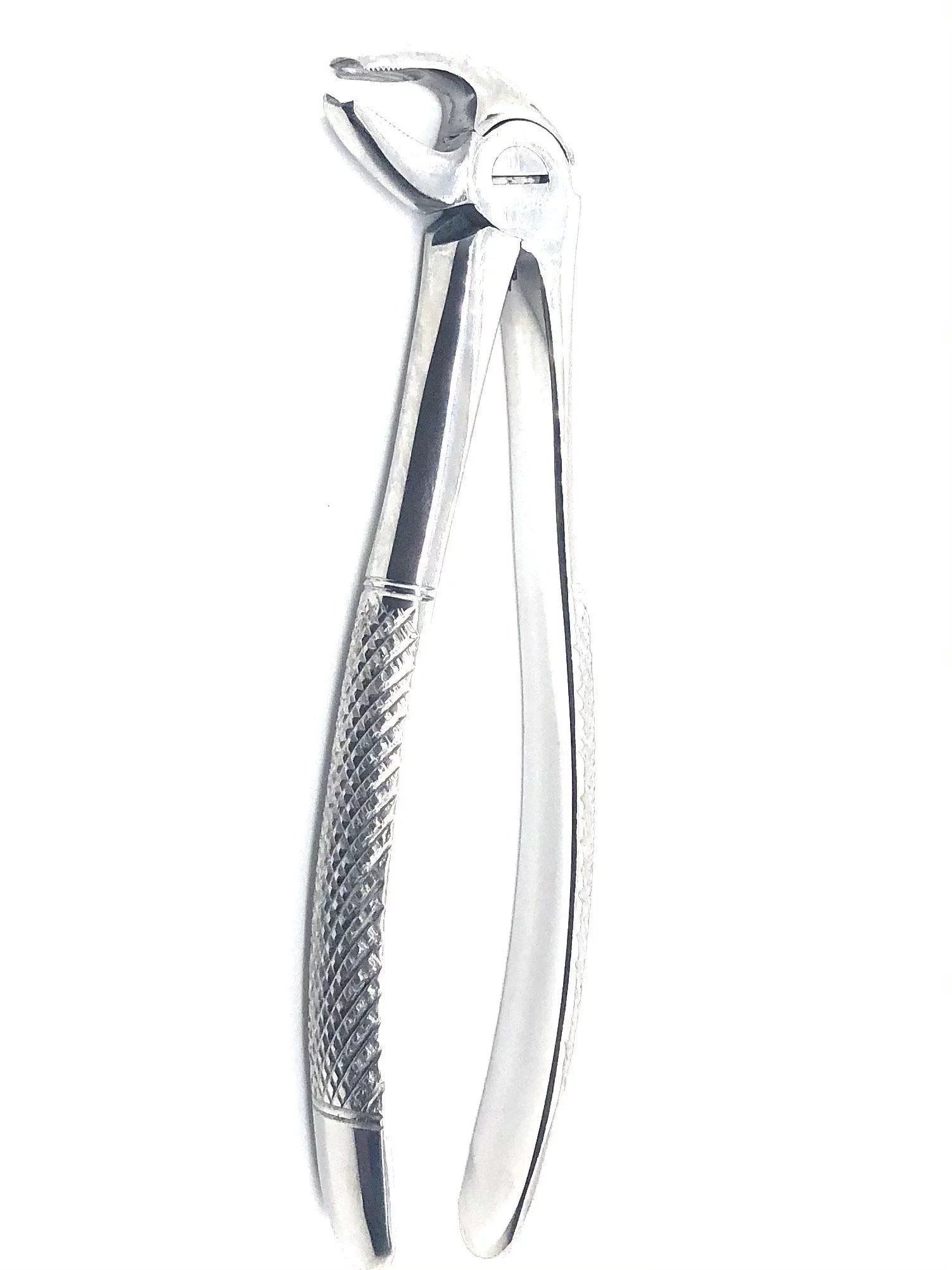 Extraction Forcep #22 English Pattern Mirror Finish