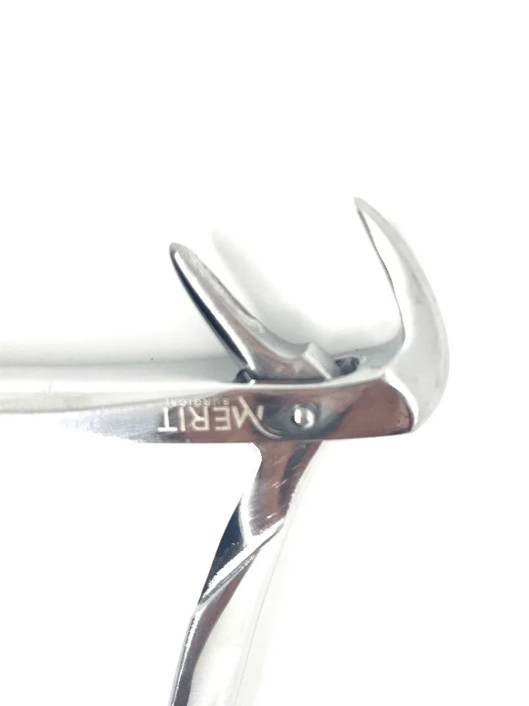 Extraction Forceps #74 Mandibular Forceps - Image 3