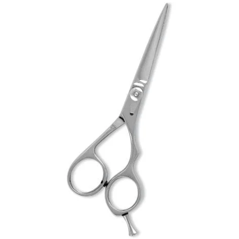 Professional Hairdressing Scissors Mirror Finish