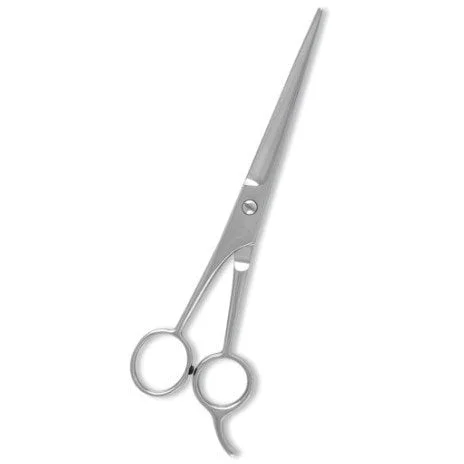 Professional Hairdressing Scissors Mirror Finish Sleek